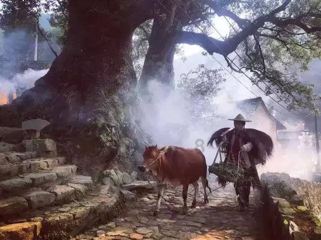 理财专员